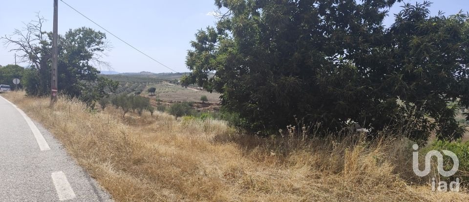 Gîte T2 à Castelo Branco de 144 m²