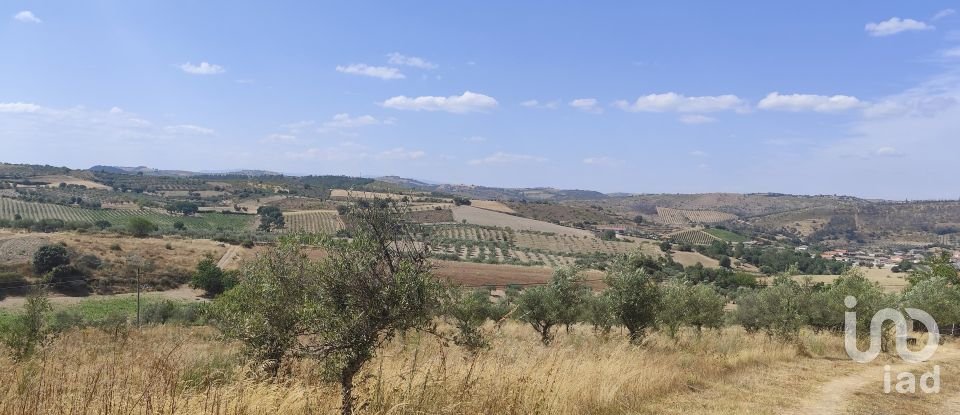 Gîte T2 à Castelo Branco de 144 m²