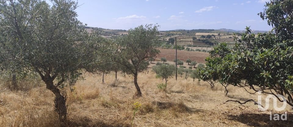 Gîte T2 à Castelo Branco de 144 m²