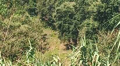 Terrain à Alcobaça e Vestiaria de 12 200 m²