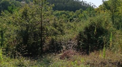 Terrain à Alcobaça e Vestiaria de 12 200 m²