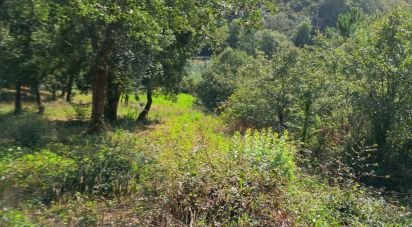 Terrain à Alcobaça e Vestiaria de 12 200 m²