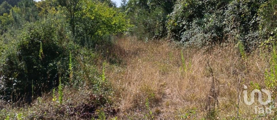 Terrain à Alcobaça e Vestiaria de 12 200 m²