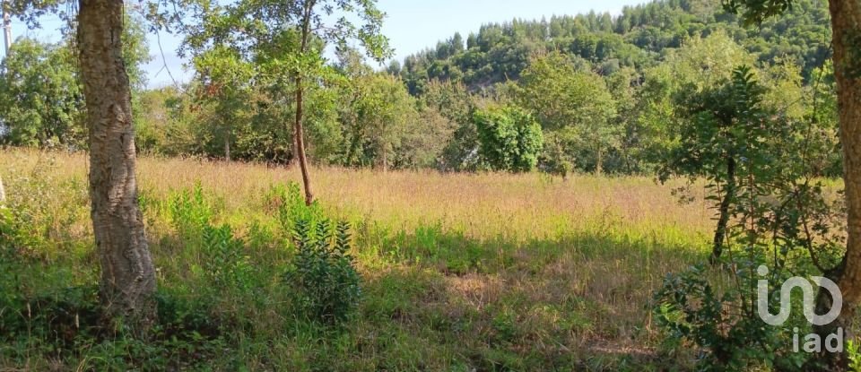 Terrain à Alcobaça e Vestiaria de 12 200 m²