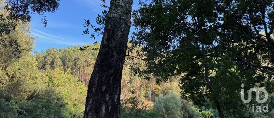 Lodge T0 in Pedrógão Grande of 50 m²