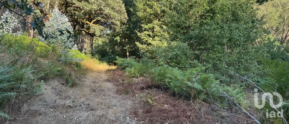 Lodge T0 in Pedrógão Grande of 50 m²