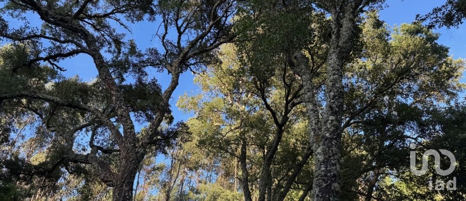 Lodge T0 in Pedrógão Grande of 50 m²