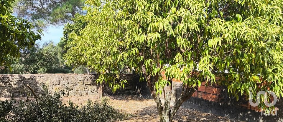 Maison T2 à Gáfete de 142 m²