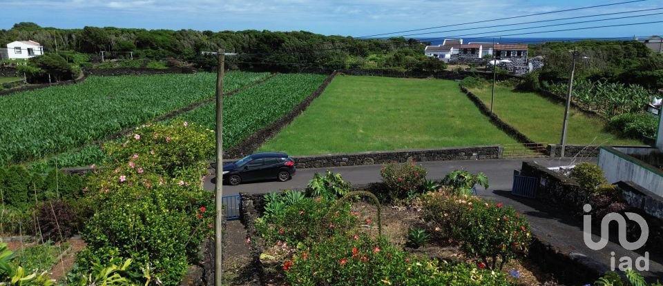 Maison T1 à Ribeiras de 92 m²