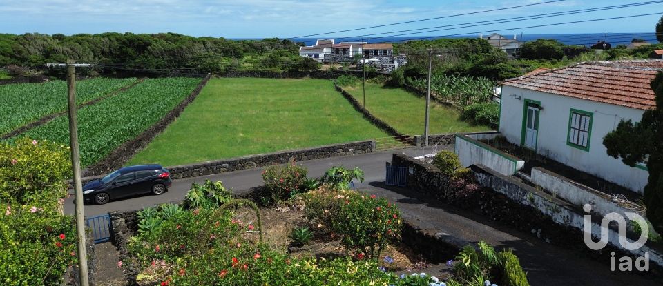 Maison T1 à Ribeiras de 92 m²