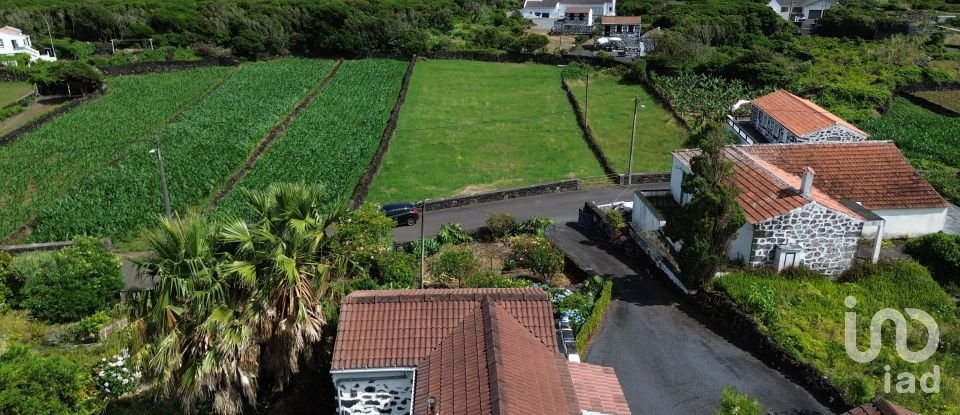 Maison T1 à Ribeiras de 92 m²