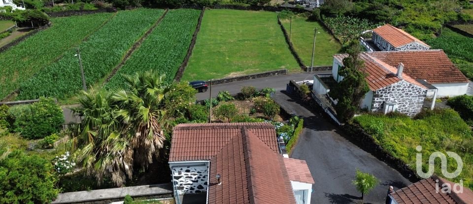 Maison T1 à Ribeiras de 92 m²