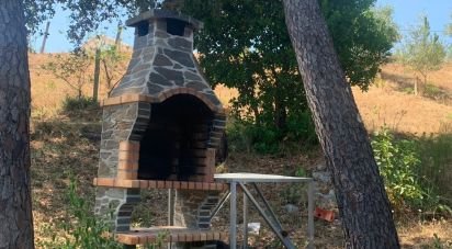 Terrain à Serra e Junceira de 7 250 m²