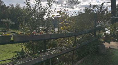 Terrain à Serra e Junceira de 7 250 m²