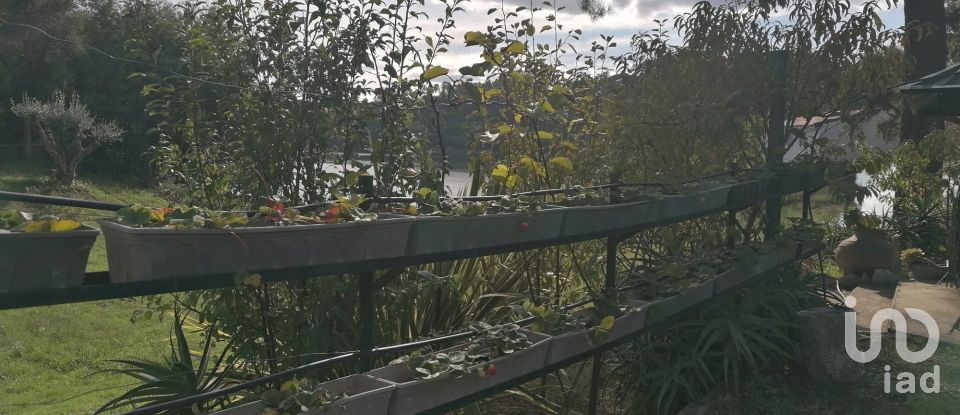 Terreno em Serra e Junceira de 7 250 m²