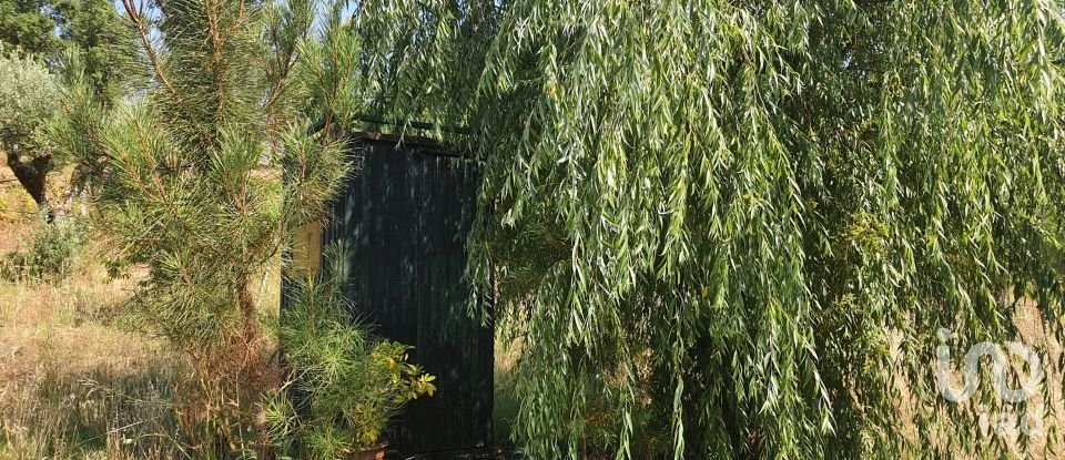 Terreno em Serra e Junceira de 7 250 m²