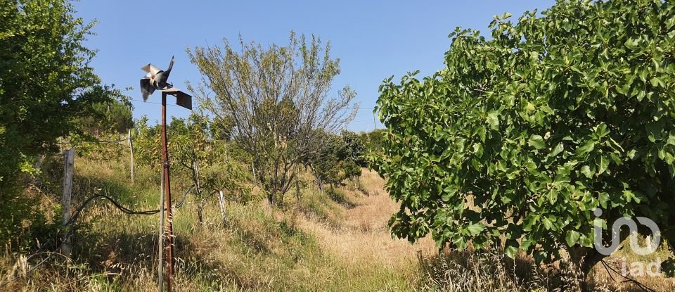 Terreno em Serra e Junceira de 7 250 m²