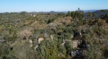 House T0 in Freixianda, Ribeira do Fárrio e Formigais of 86 m²