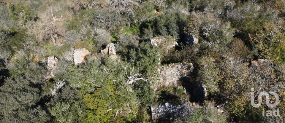 Maison T0 à Freixianda, Ribeira do Fárrio e Formigais de 86 m²