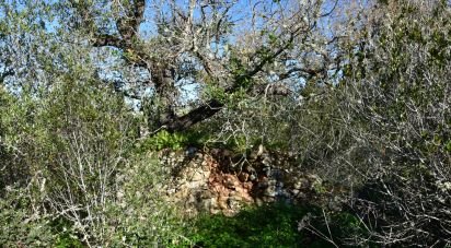 House T0 in Freixianda, Ribeira do Fárrio e Formigais of 86 m²