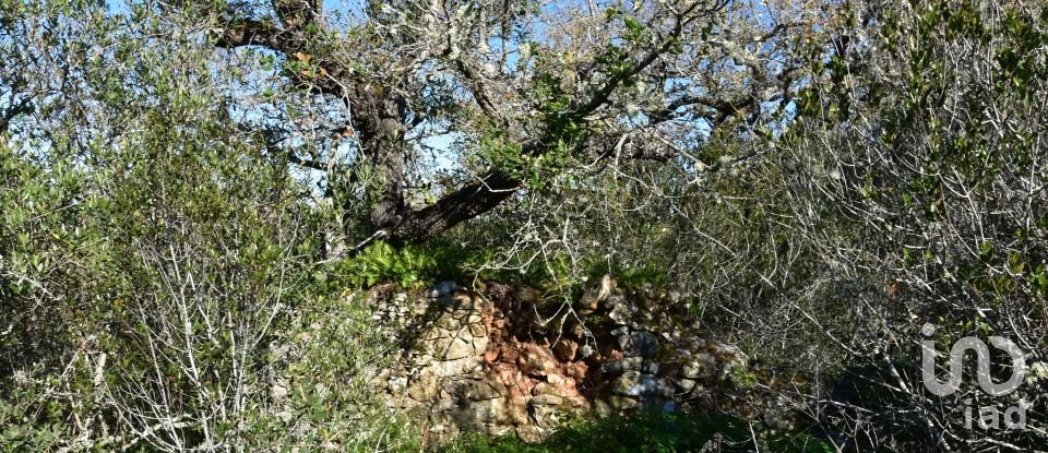 Maison T0 à Freixianda, Ribeira do Fárrio e Formigais de 86 m²