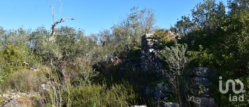 Maison T0 à Freixianda, Ribeira do Fárrio e Formigais de 86 m²