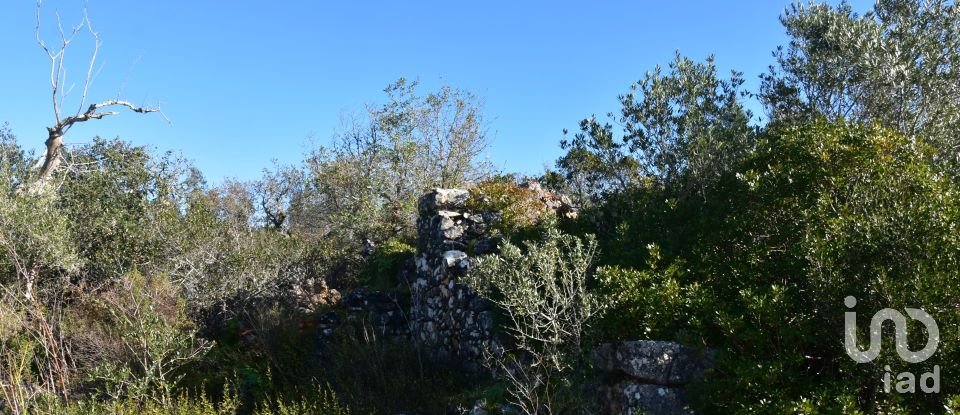 Maison T0 à Freixianda, Ribeira do Fárrio e Formigais de 86 m²