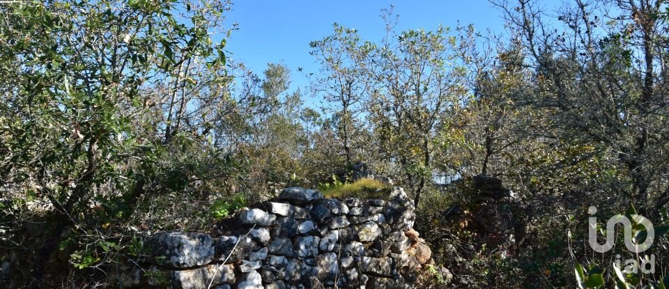 Maison T0 à Freixianda, Ribeira do Fárrio e Formigais de 86 m²