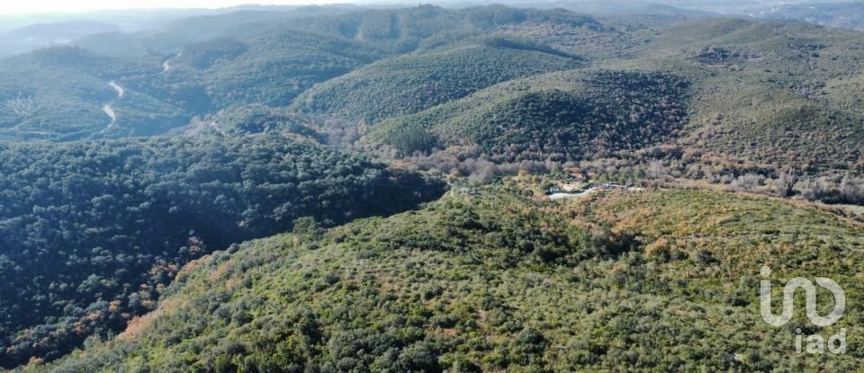 Maison T0 à Freixianda, Ribeira do Fárrio e Formigais de 86 m²