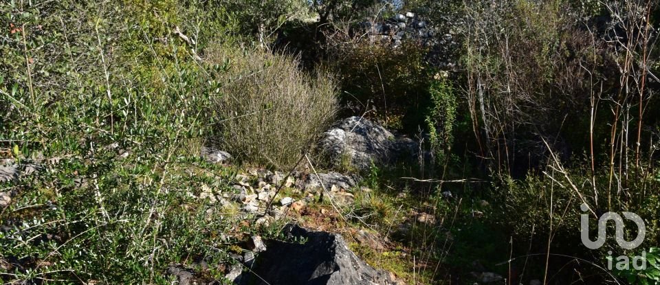 Maison T0 à Freixianda, Ribeira do Fárrio e Formigais de 86 m²