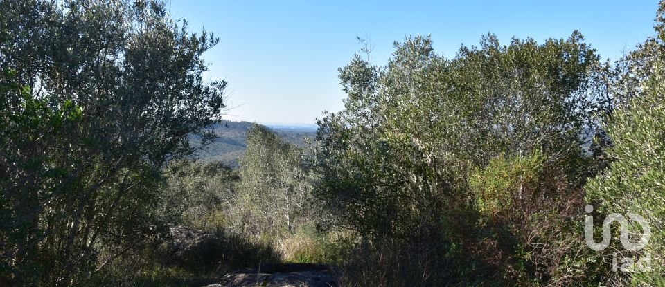 Maison T0 à Freixianda, Ribeira do Fárrio e Formigais de 86 m²