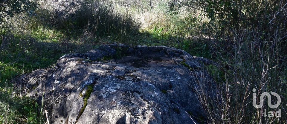 Maison T0 à Freixianda, Ribeira do Fárrio e Formigais de 86 m²