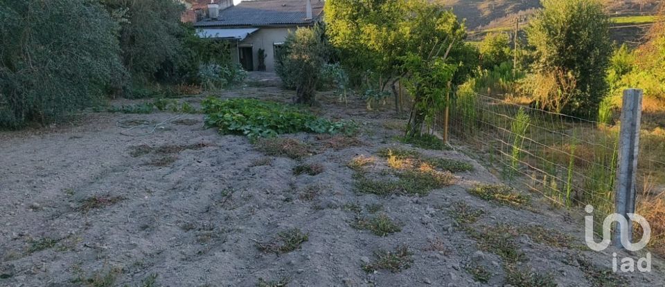 Maison T4 à Seixo da Beira de 498 m²