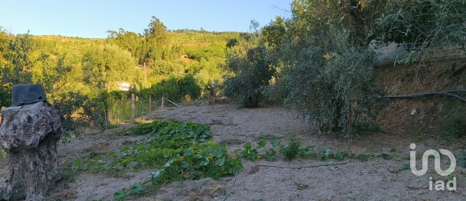 Maison T4 à Seixo da Beira de 498 m²