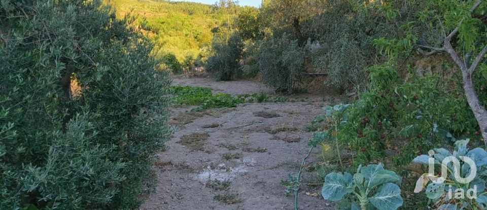 Maison T4 à Seixo da Beira de 498 m²