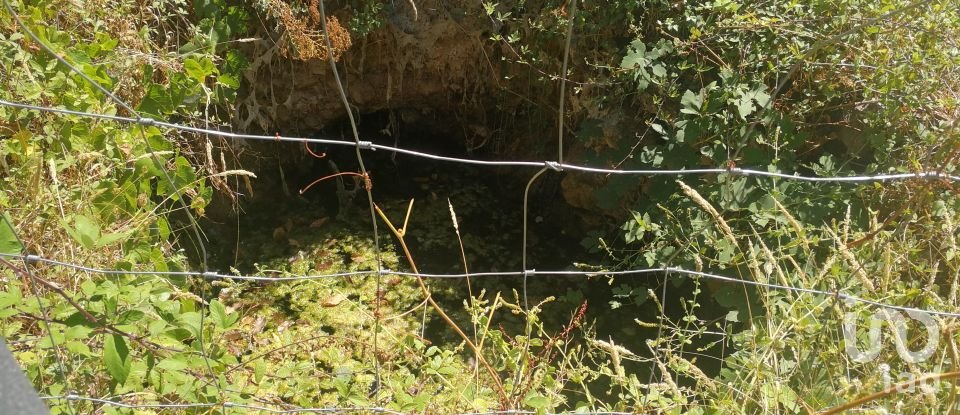 House T4 in São Miguel, Santa Eufémia e Rabaçal of 115 m²