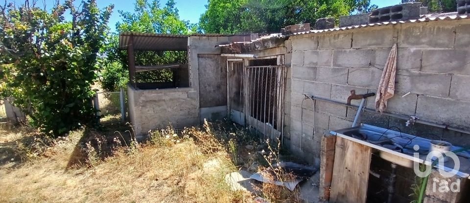 Farm T6 in Gonçalo of 215 m²