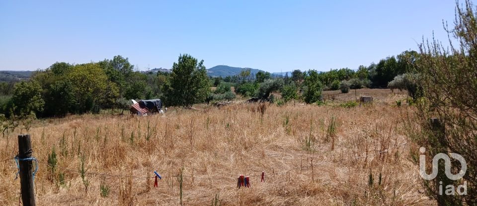 Farm T6 in Gonçalo of 215 m²