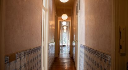 Manoir T5 à Abrantes (São Vicente e São João) e Alferrarede de 556 m²