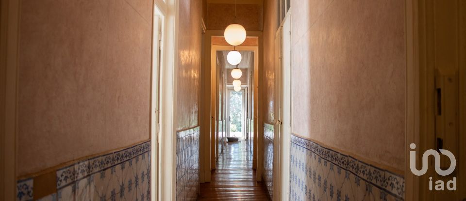 Solar T5 em Abrantes (São Vicente e São João) e Alferrarede de 556 m²