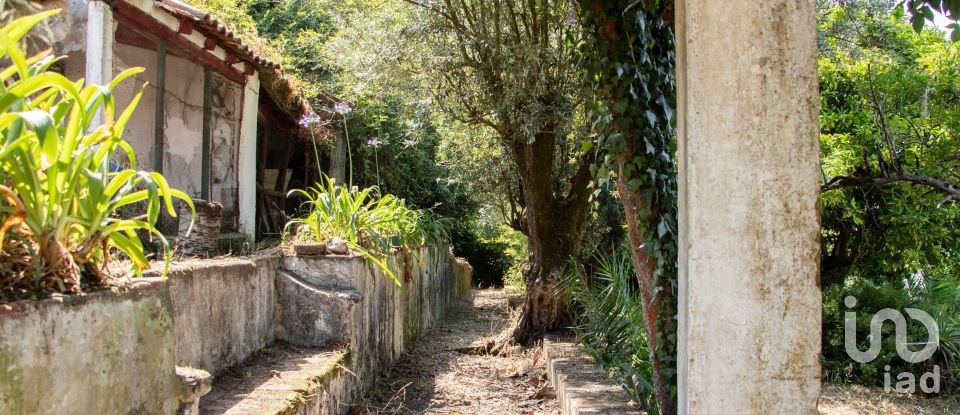 Solar T5 em Abrantes (São Vicente e São João) e Alferrarede de 556 m²