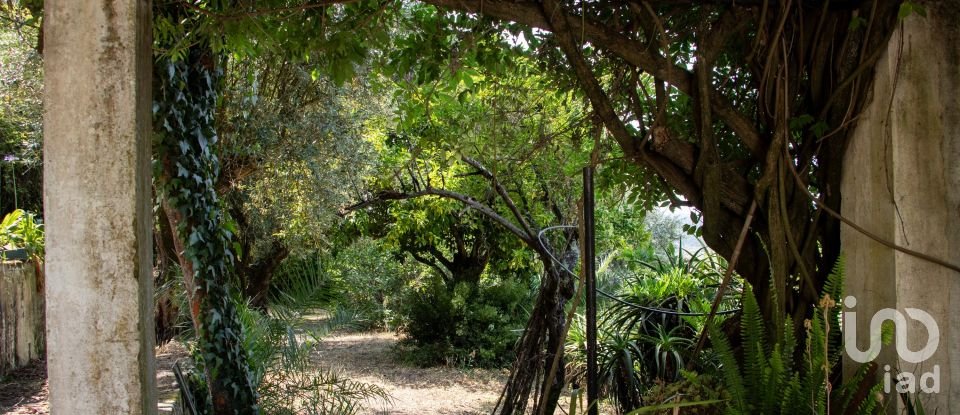 Solar T5 em Abrantes (São Vicente e São João) e Alferrarede de 556 m²