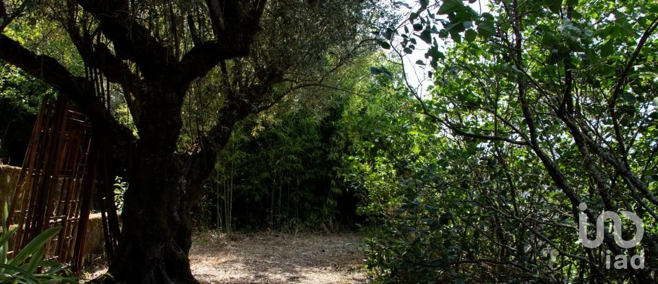 Solar T5 em Abrantes (São Vicente e São João) e Alferrarede de 556 m²