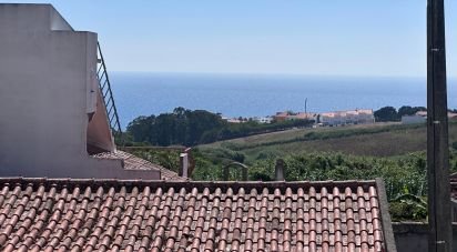 House T4 in Lourinhã e Atalaia of 140 m²