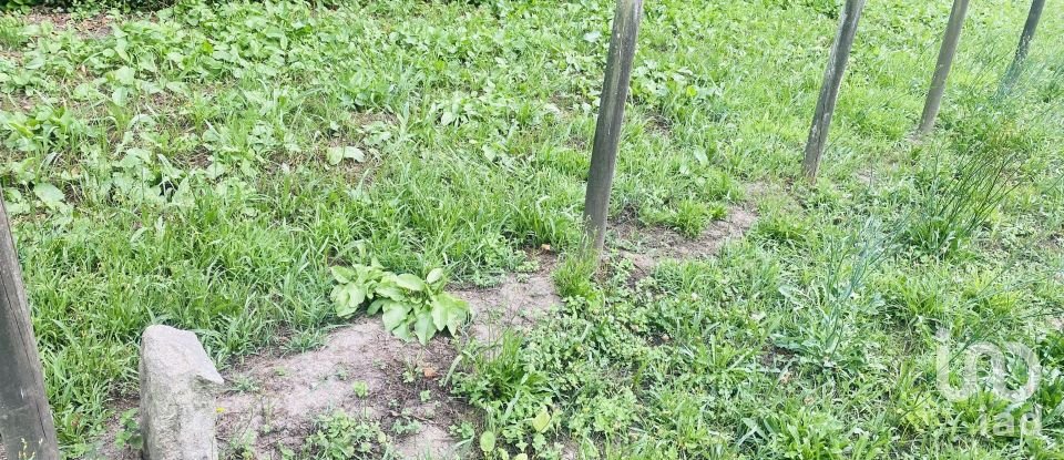 Farm land in Loivo of 2,850 m²