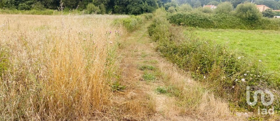 Farm land in Loivo of 2,850 m²