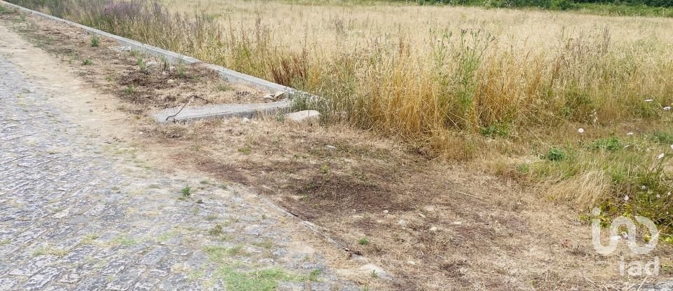 Farm land in Loivo of 2,850 m²