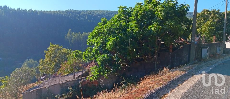 Maison T3 à Campelo de 134 m²