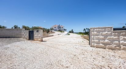 House T3 in Caldas da Rainha - Nossa Senhora do Pópulo, Coto e São Gregório of 600 m²