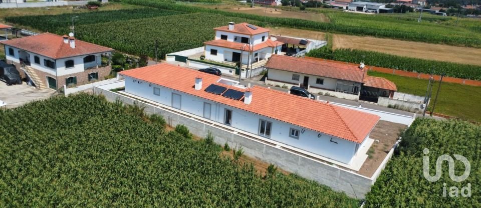 Moradia T2 em Branca de 130 m²